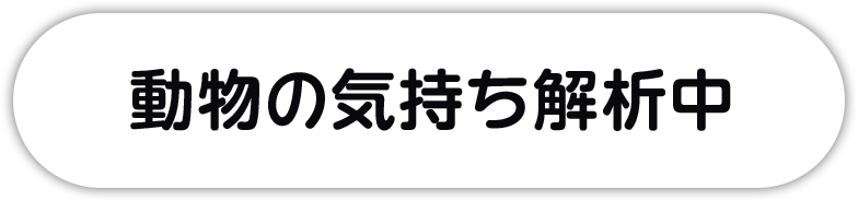 動物の気持ち解析中