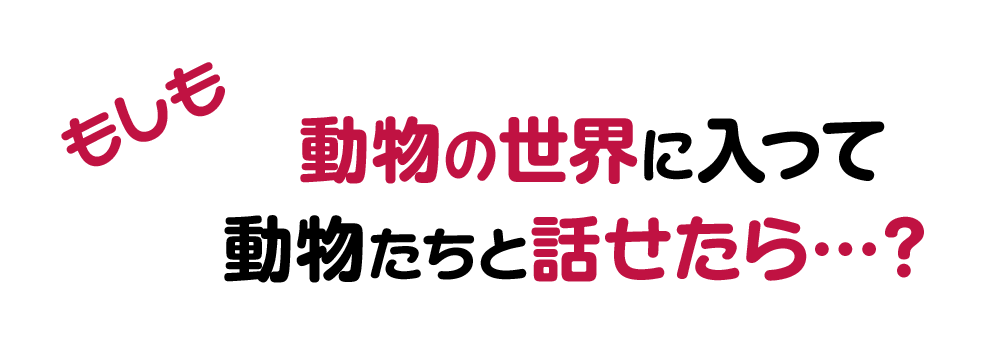もしも動物の世界に入って動物たちと話せたら…？
