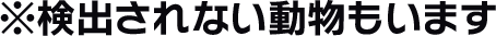 ※検出されない動物もいます