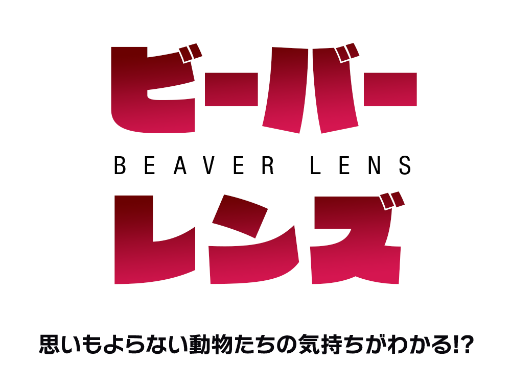 ビーバーレンズ